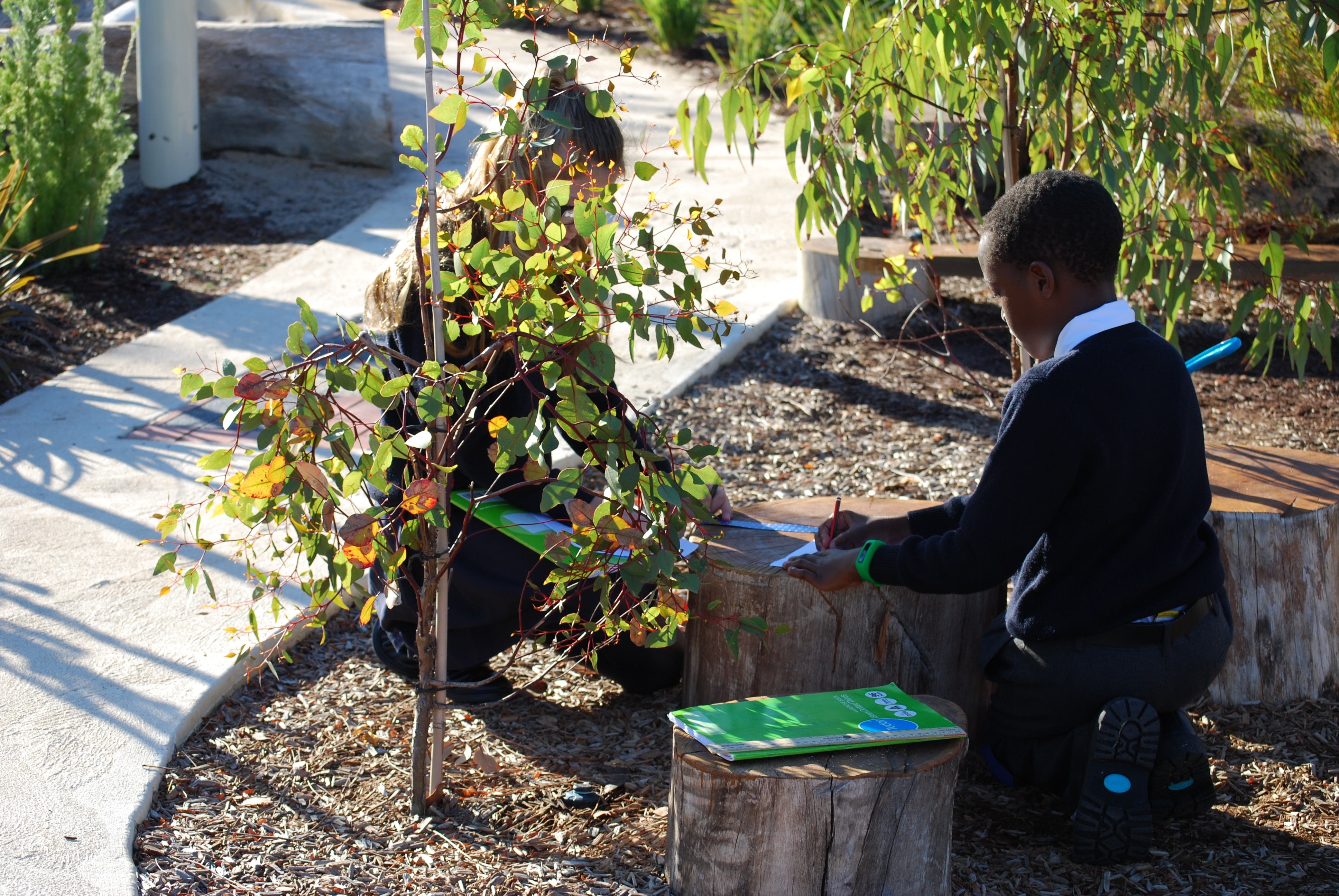 Students measuring nature play stump