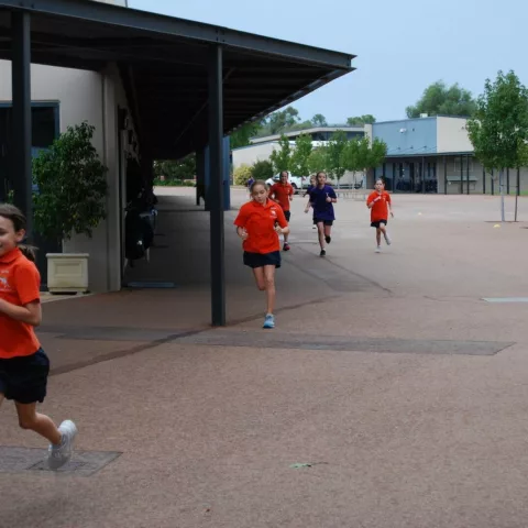 Primary school cross country8