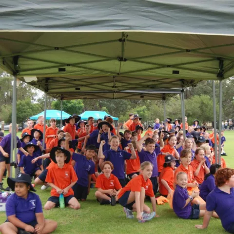 Primary school cross country11