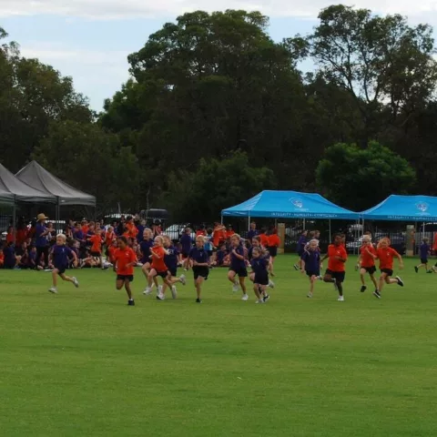 Primary school cross country16