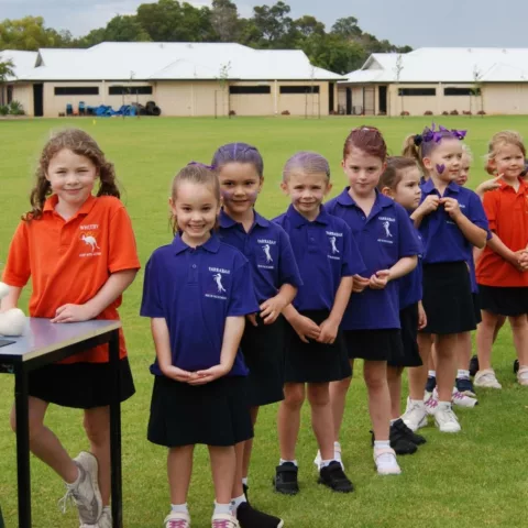 Primary school cross country25