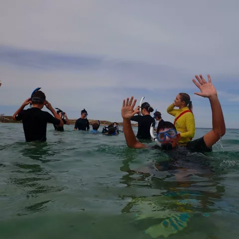 Year 10 ningaloo camp17