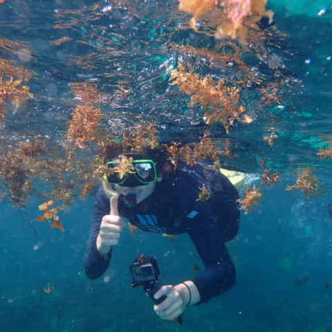 Year 10 ningaloo camp28