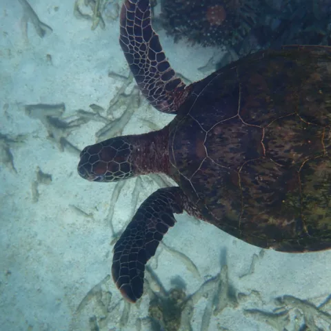 Year 10 ningaloo camp29