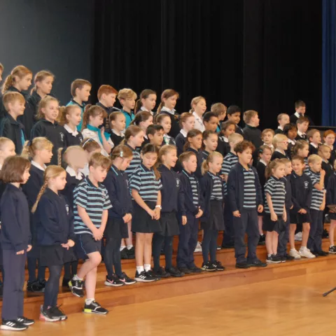 Musical performances assembly1
