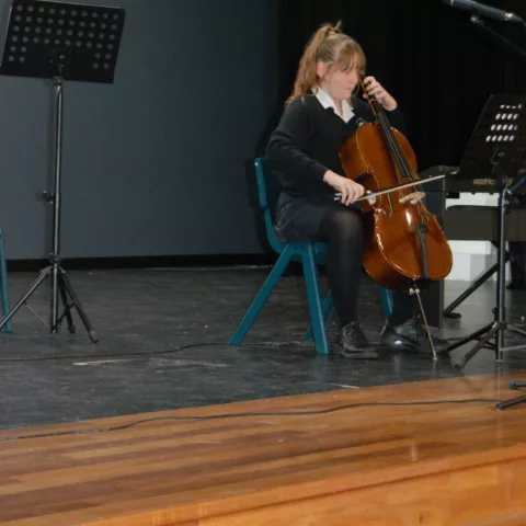 Musical performances assembly3
