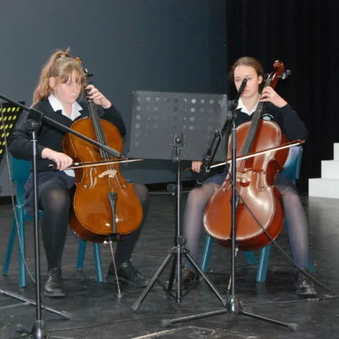 Musical performances assembly11
