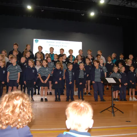 Musical performances assembly20