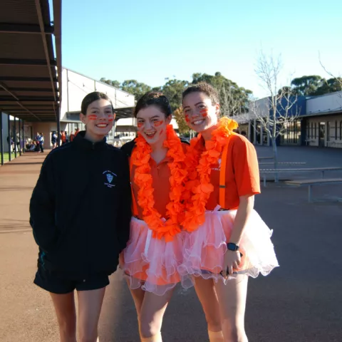 Secondary school sports carnival22