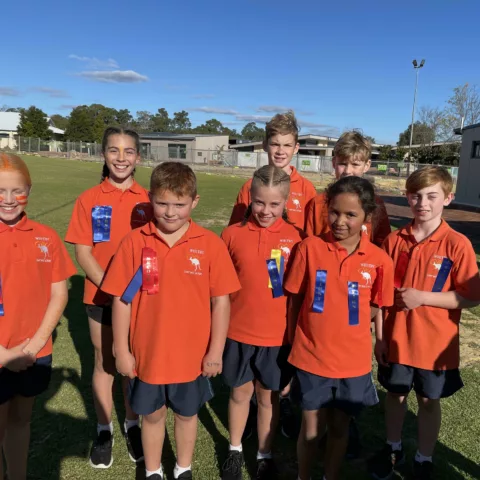 Primary school sports carnival2