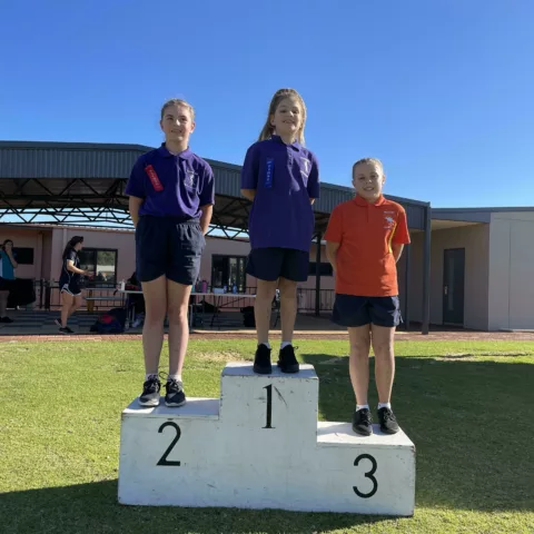 Primary school sports carnival5