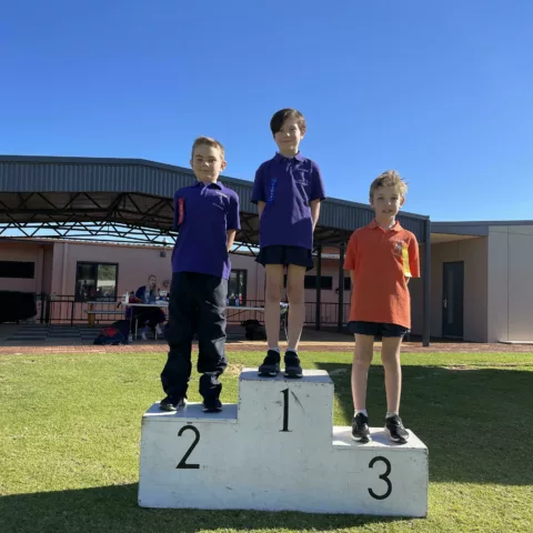 Primary school sports carnival7