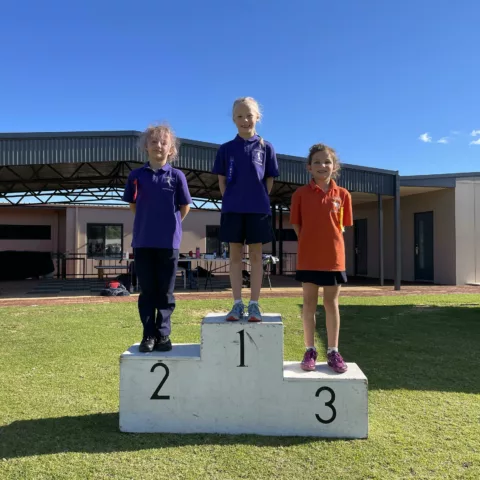 Primary school sports carnival8
