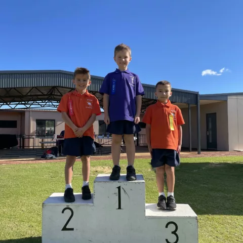 Primary school sports carnival9