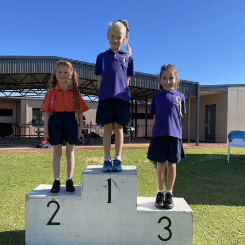Primary school sports carnival10
