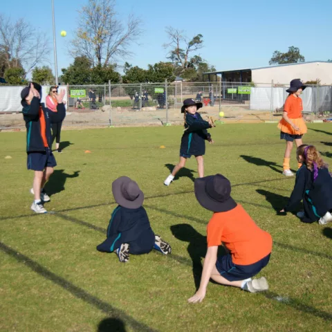Primary school sports carnival12