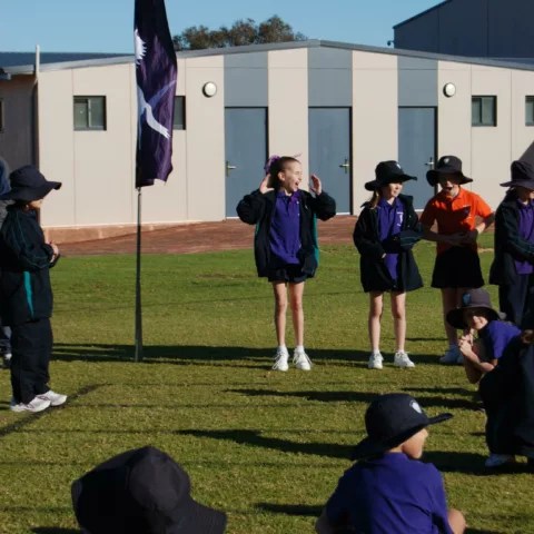 Primary school sports carnival13