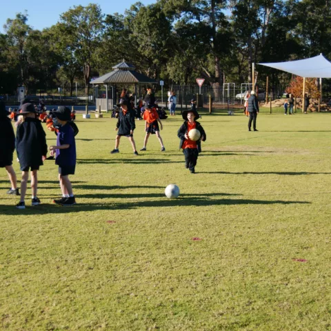 Primary school sports carnival17