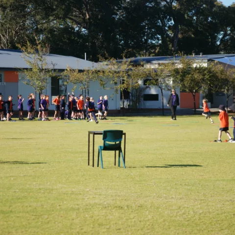Primary school sports carnival18