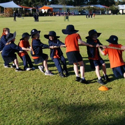 Primary school sports carnival19
