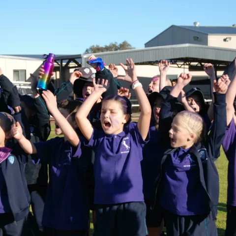 Primary school sports carnival22
