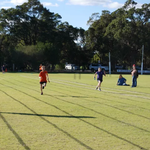 Primary school sports carnival31