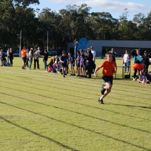 Primary school sports carnival34