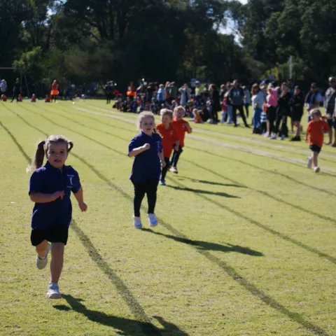 Primary school sports carnival38