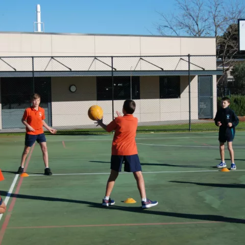 Primary school sports carnival39