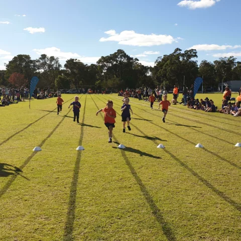 Primary school sports carnival41