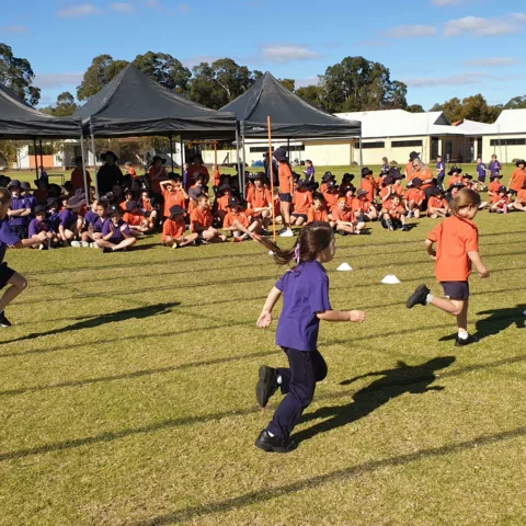 Primary school sports carnival44