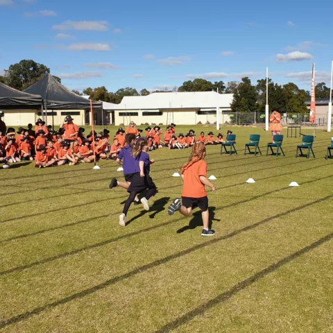 Primary school sports carnival45