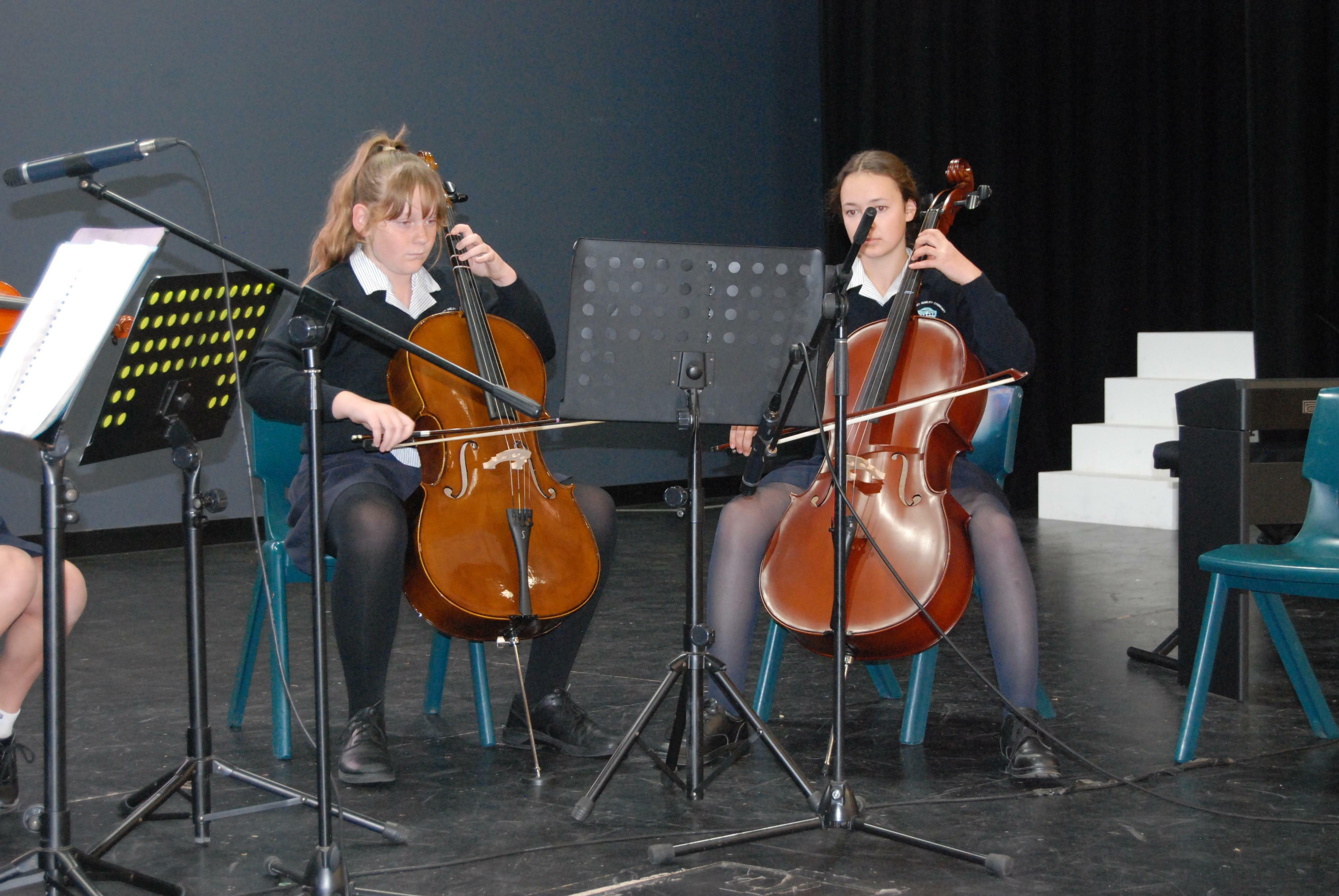 Musical performances assembly11