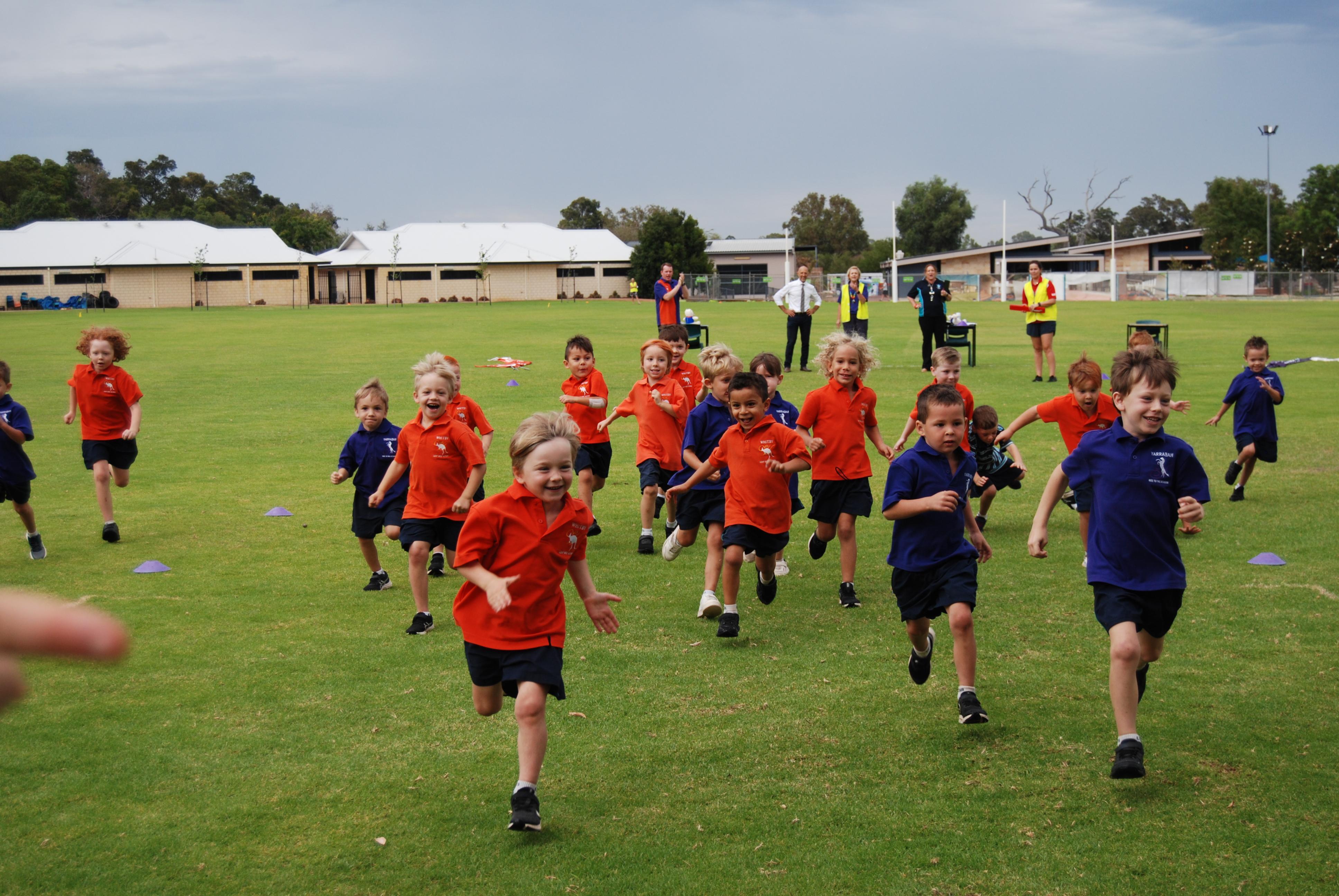 Primary school cross country